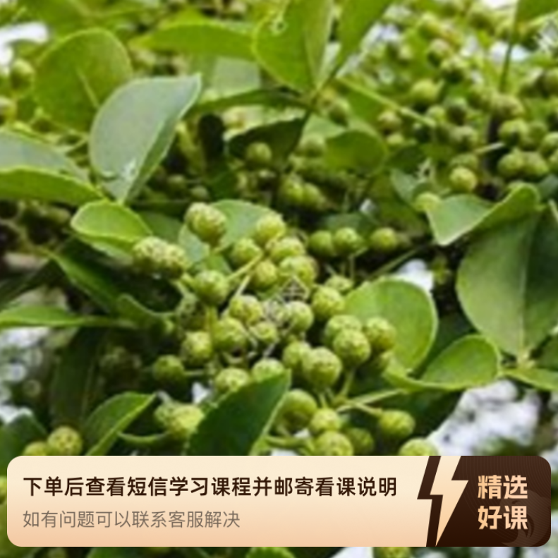 青藤椒火锅料，本人亲测（留意短信解锁课程）