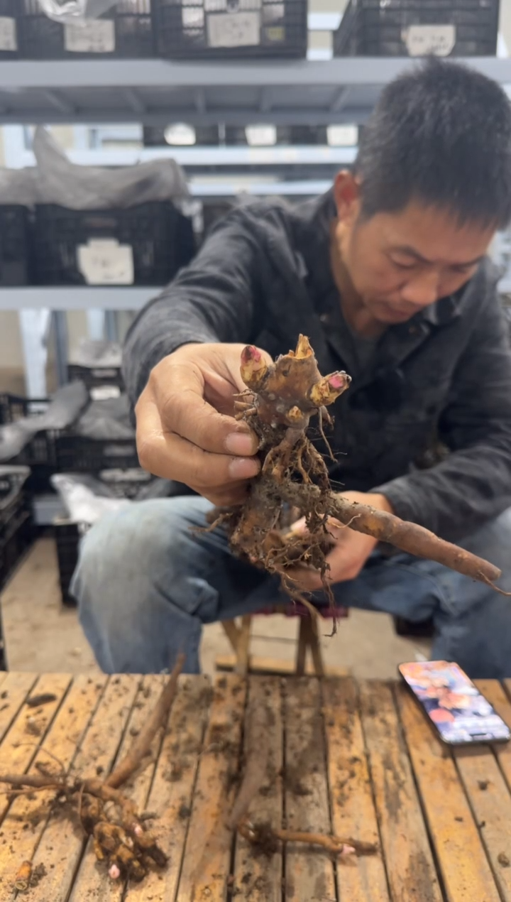 时****. 29.9  彼得 时光&泡沫 