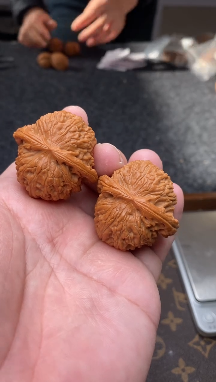 把件文玩核桃B281号41尺白狮子