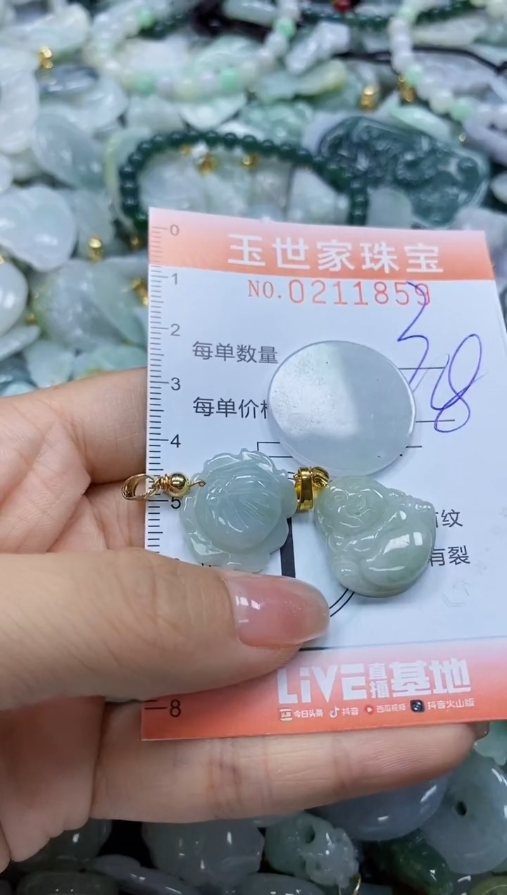 【闪购商品】翡翠颈饰未镶嵌闪购0211859
