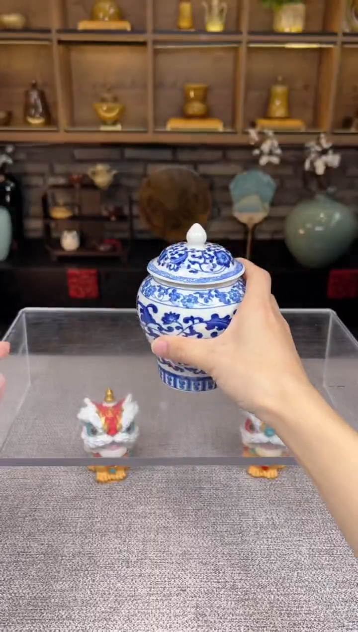 【闪购商品】无尽藏 专属福利单 VVV 
