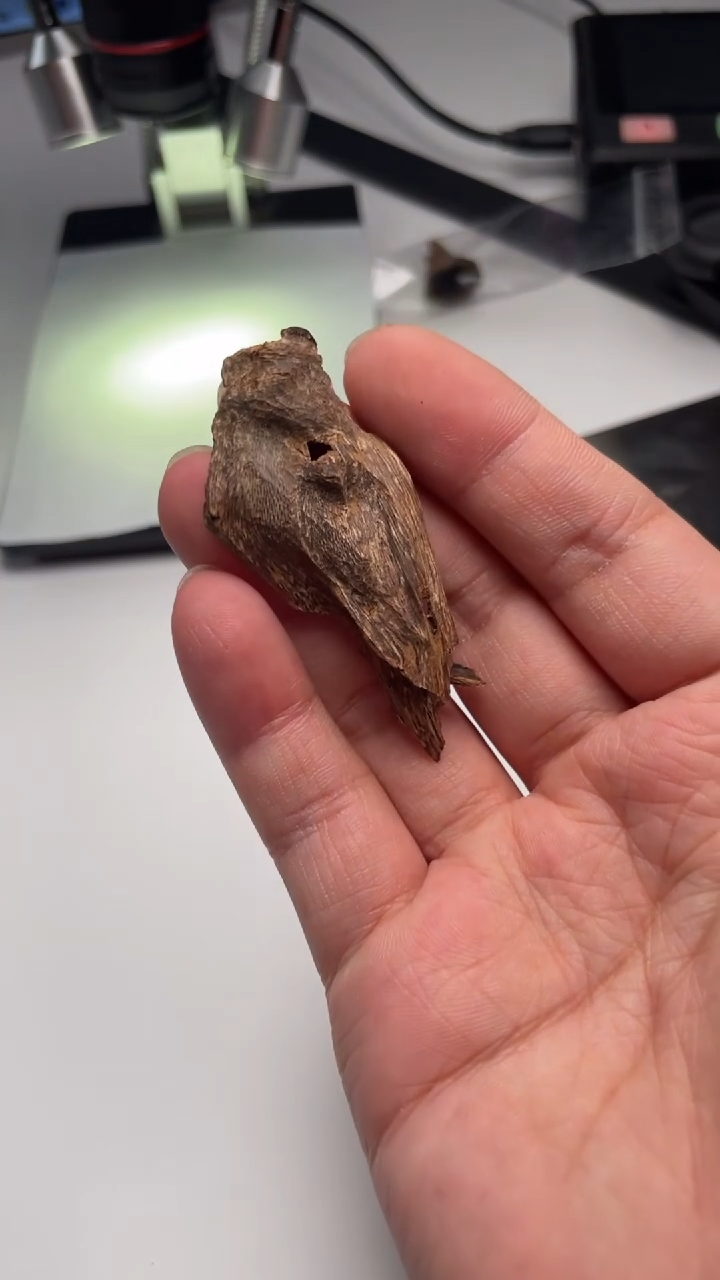 【闪购商品】沉香摆件海南野生沉香1.8克