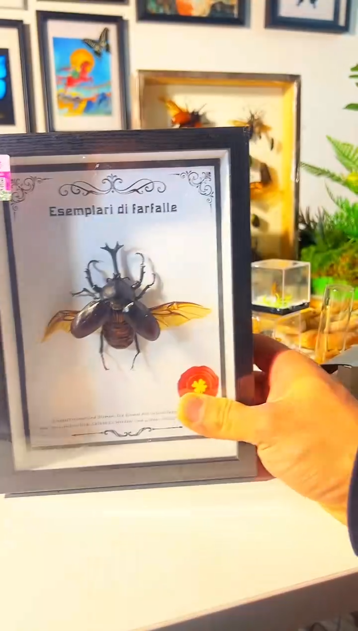 有机玻璃15458485118