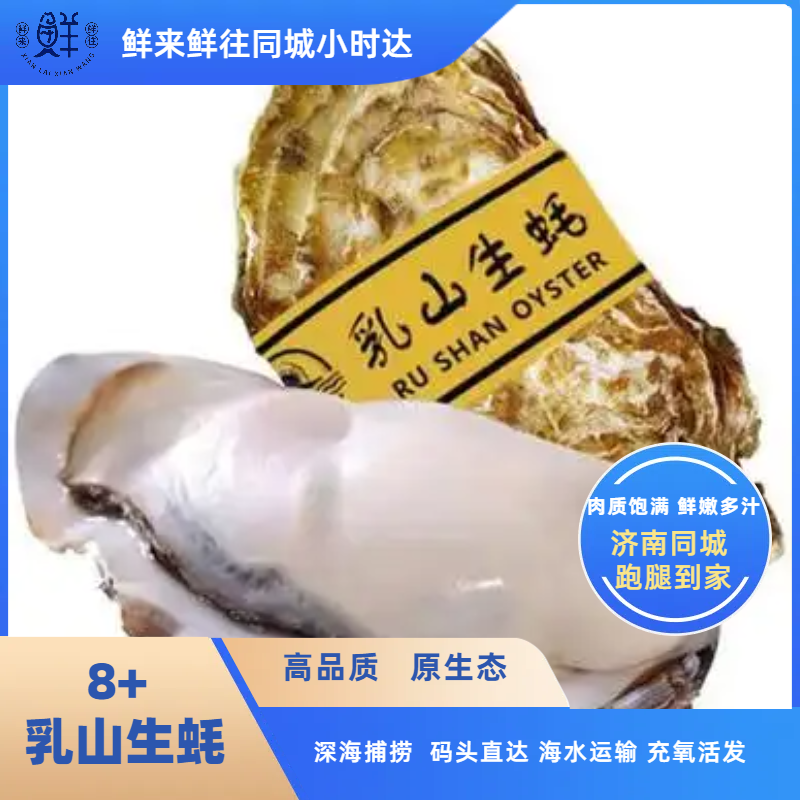 【生蚝福利】5+正宗乳山生蚝   1斤新鲜牡蛎 鲜嫩肥美多汁