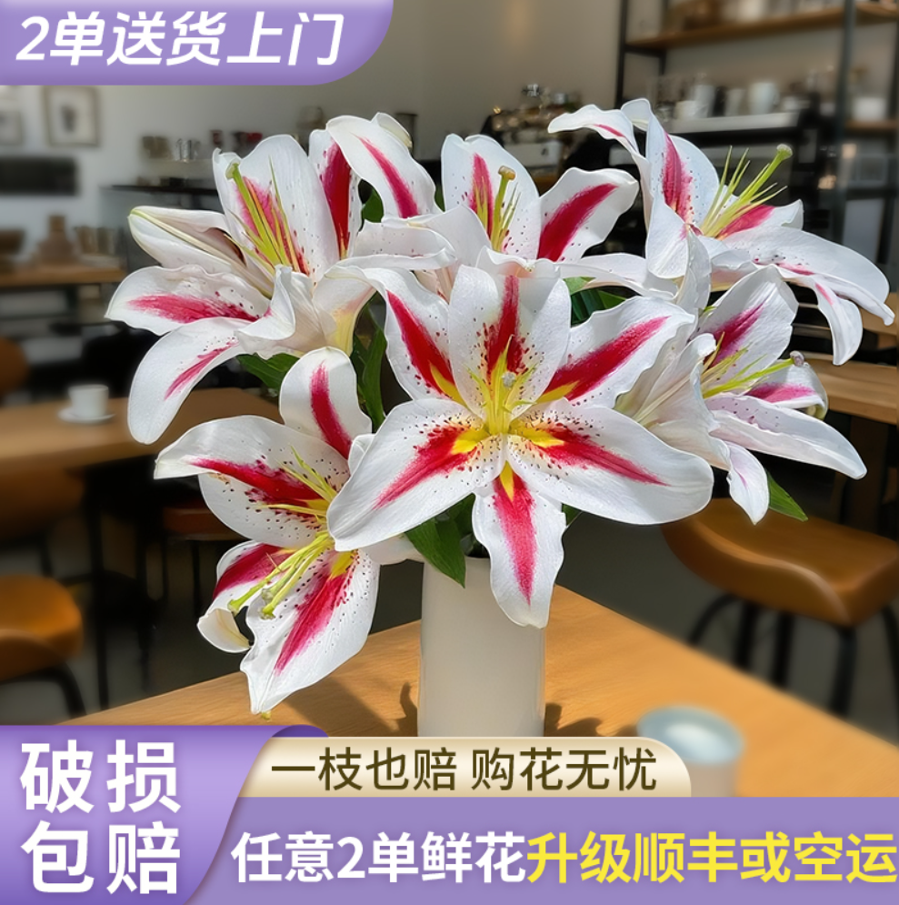 【花王朝】笑脸香水百合 云南直发鲜花家居水养插花鲜切花 