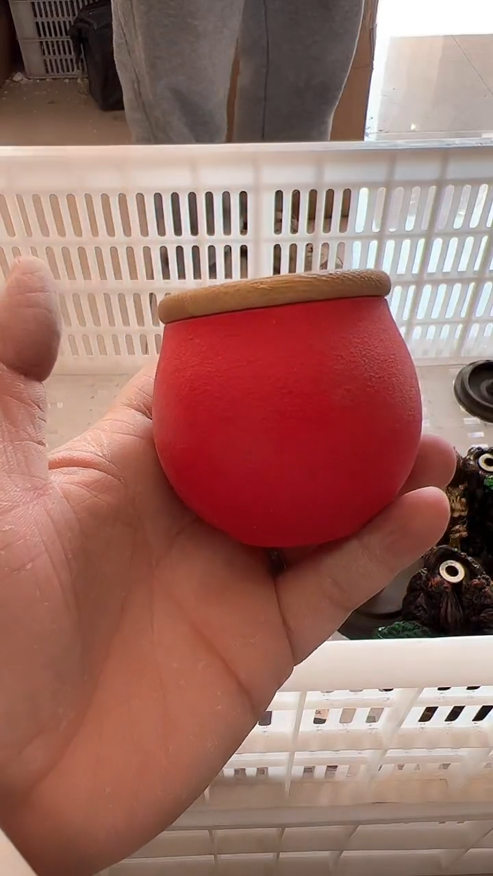 【闪购商品】无运费险略有微瑕介意勿拍