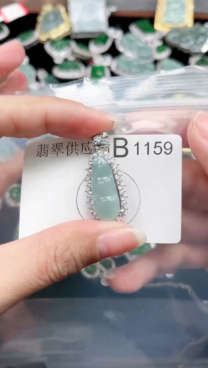 【闪购商品】翡翠颈饰未镶嵌赠皮绳1159