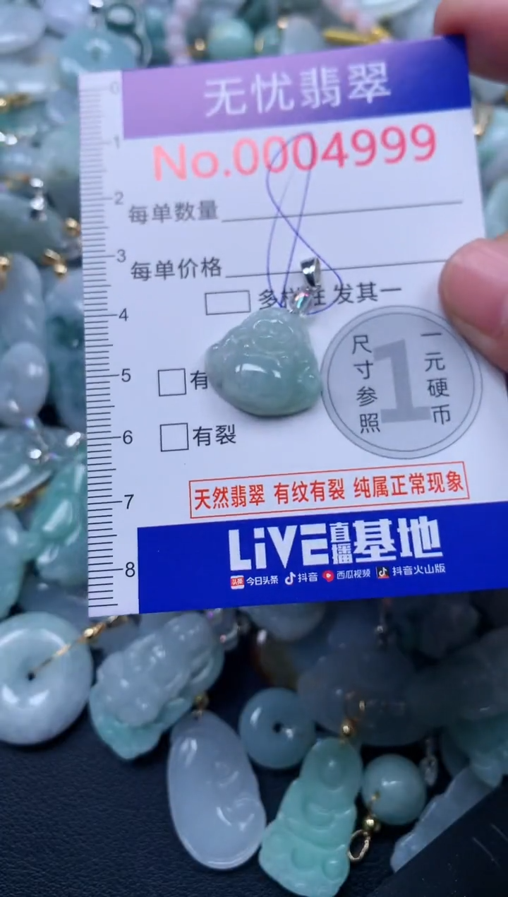 颈饰未镶嵌翡翠4999