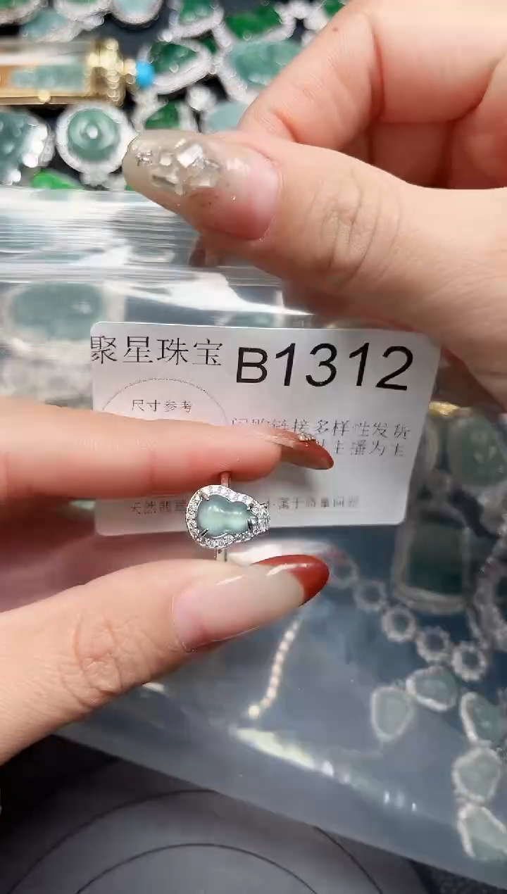 【闪购商品】翡翠颈饰未镶嵌 赠皮绳1312