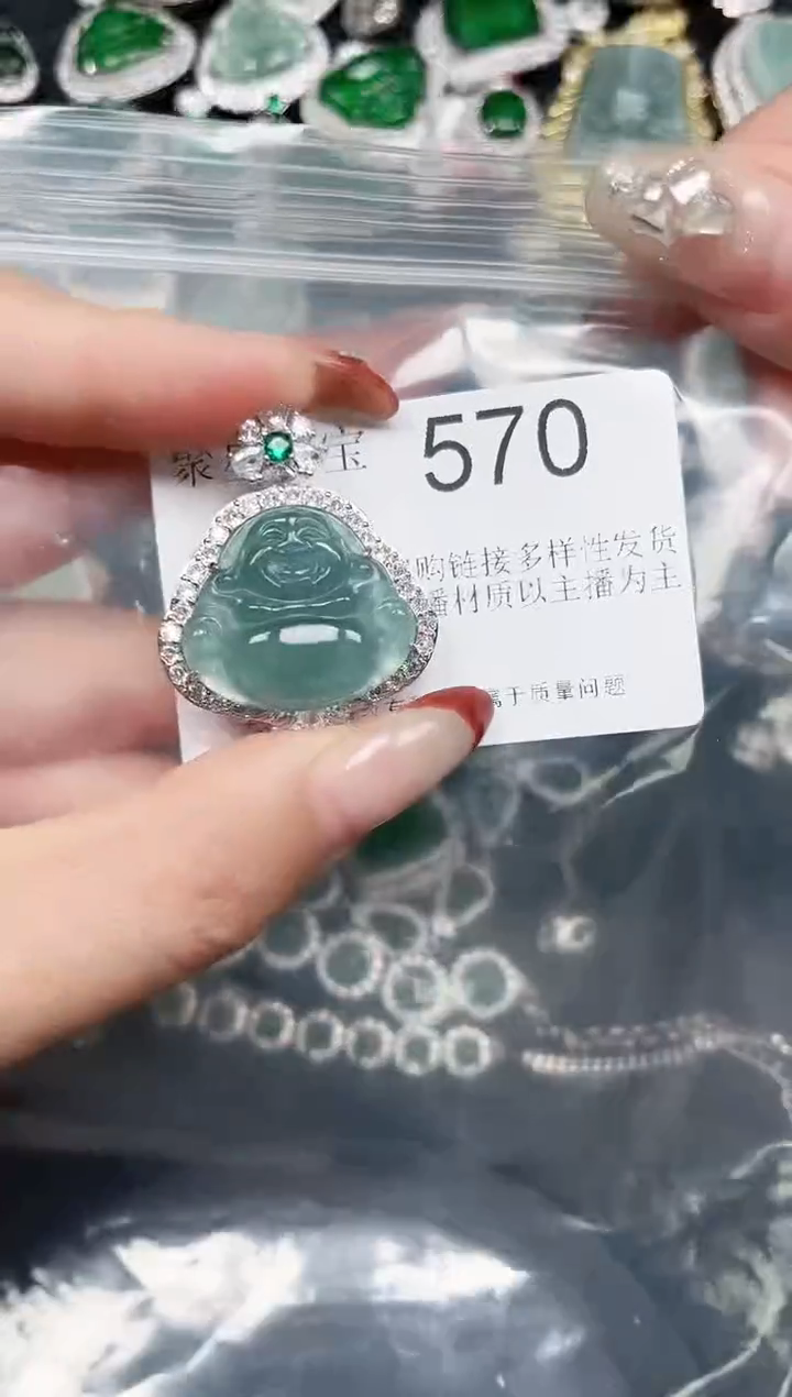 【闪购商品】翡翠颈饰未镶嵌赠皮绳570