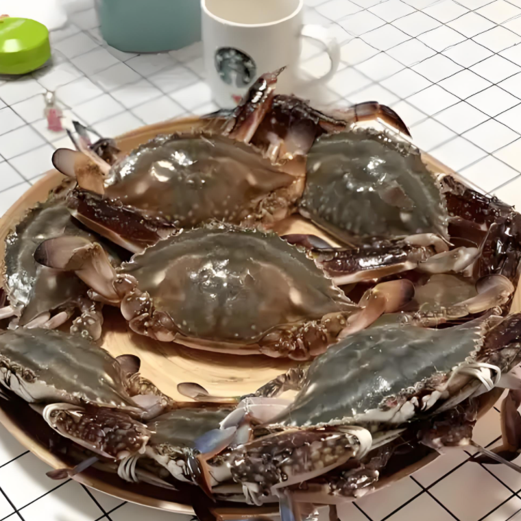 公母混搭梭子蟹液氮锁鲜4斤 每只4～6两 到手8～10只【保鲜不保活】