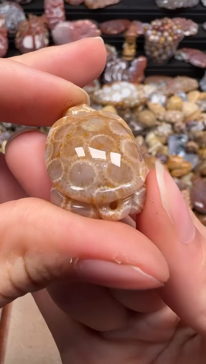 【闪购商品】硅化珊瑚（珊瑚玉）颈饰未镶嵌276