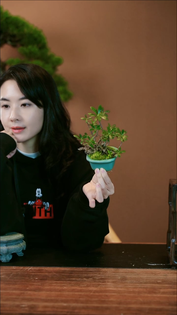 【闪购商品】去去去栀子花