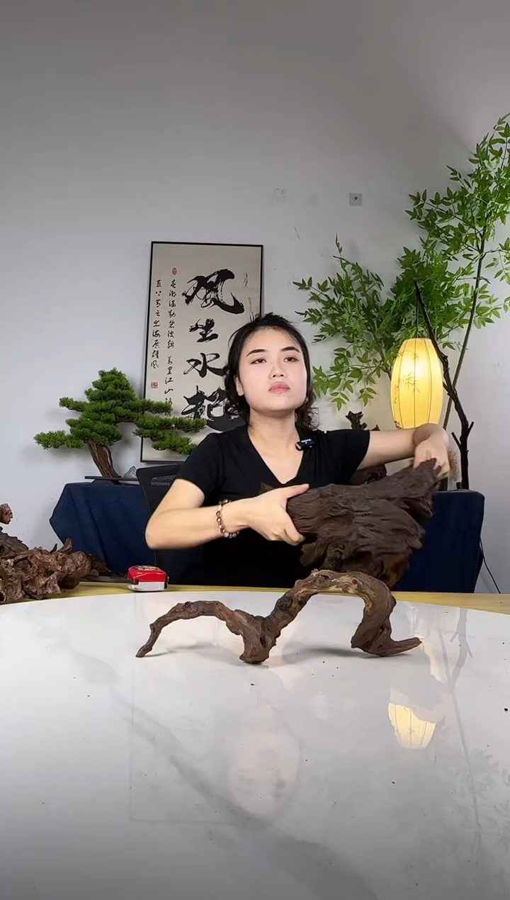 彩**南拍这个定向编号73