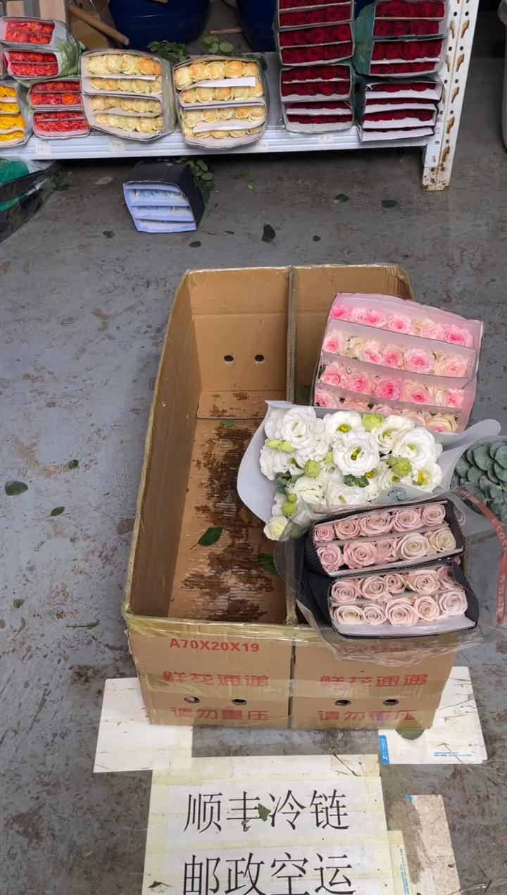 洛神3扎+曼塔2扎+白桔梗800克+尤加利