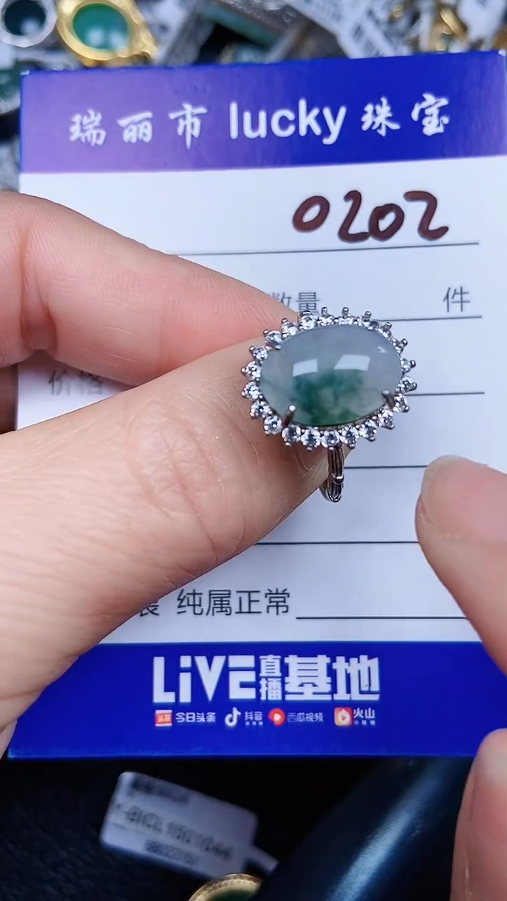 颈饰银S925镶嵌翡翠0202