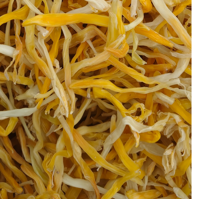 四川菌王手选黄花菜 新货干货
