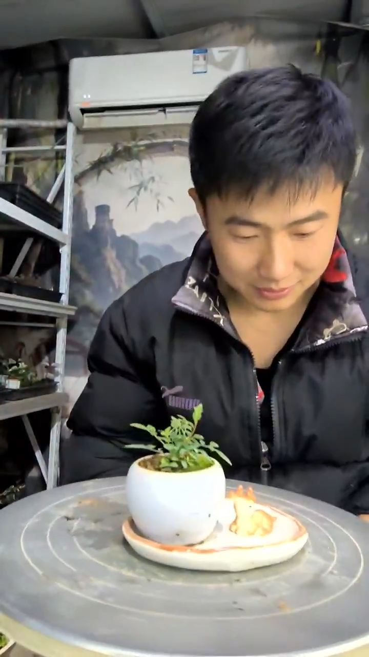 花**?中青园艺一物一拍花479