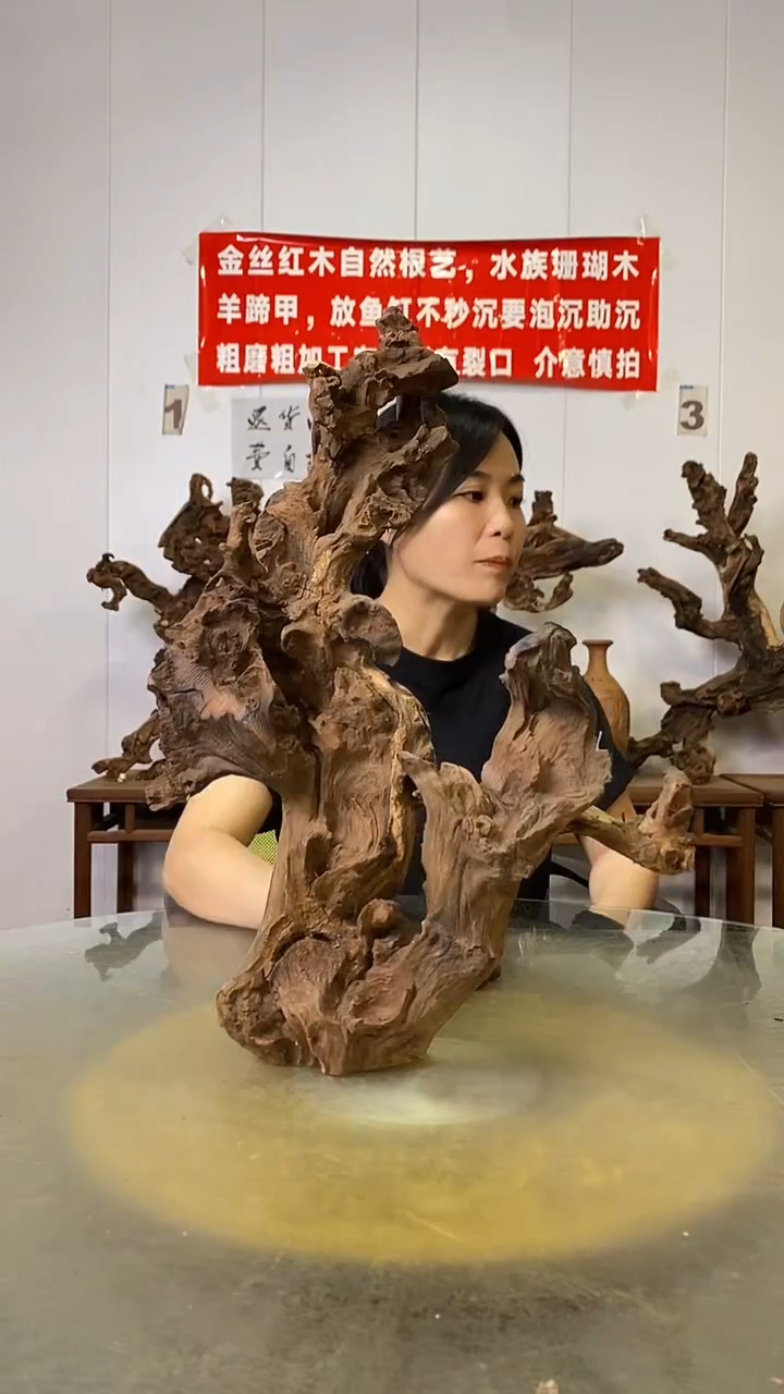 香榧木木**川金丝红木   羊蹄甲