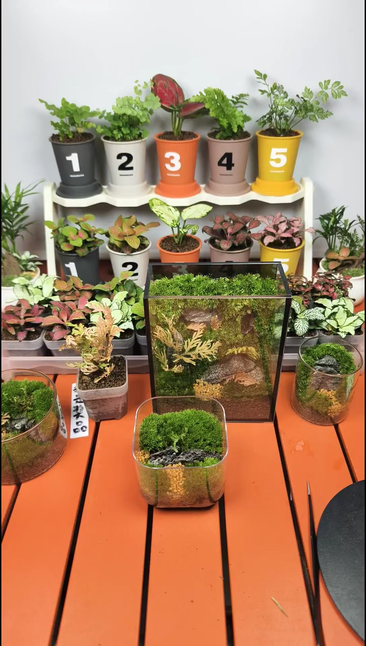 无花朵咖啡杯空花盆一套