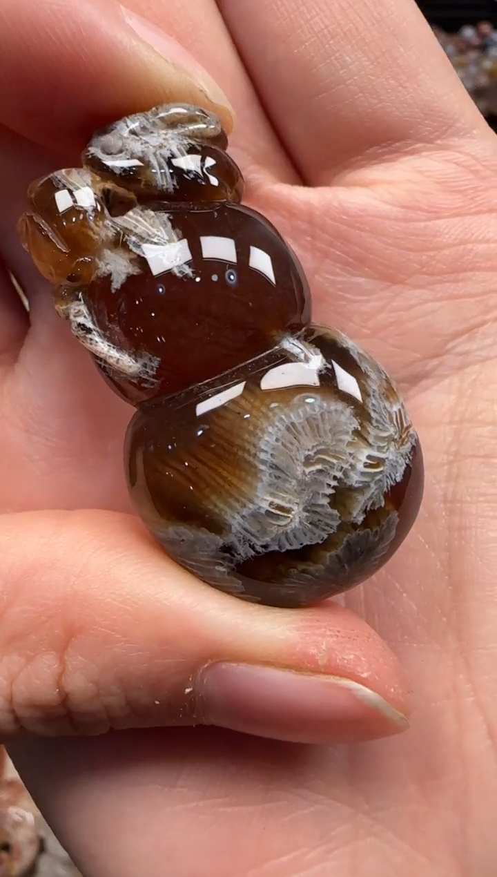 【闪购商品】硅化珊瑚（珊瑚玉）颈饰未镶嵌023