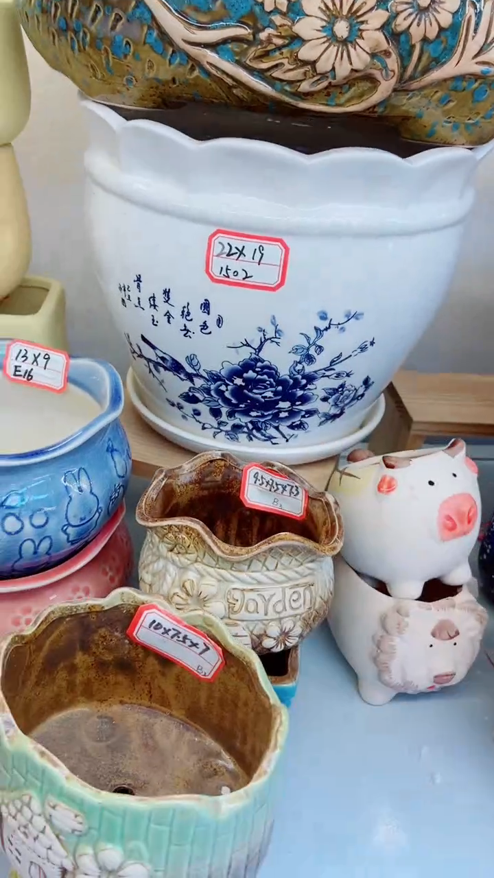 【闪购商品】陶瓷@@1502