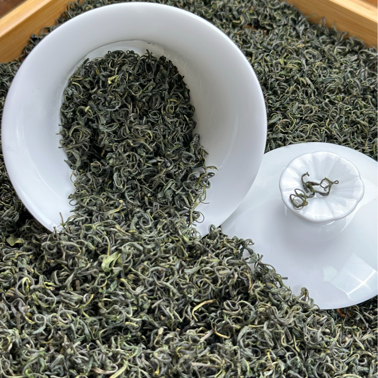 2025年新茶明前头春松阳43号炒青绿茶香茶高浓板栗香500g