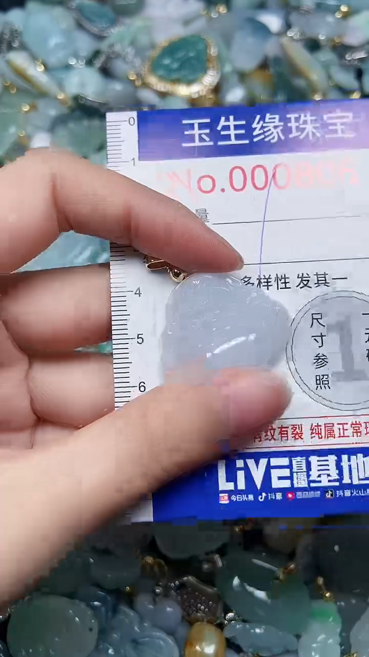 【闪购商品】翡翠颈饰未镶嵌闪购00008065