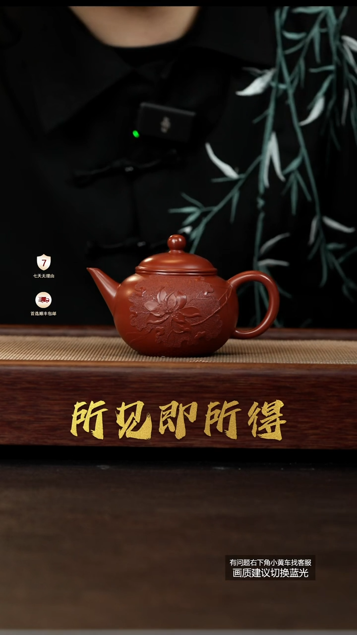 茶壶紫砂原矿红皮龙泥绘荷花水平