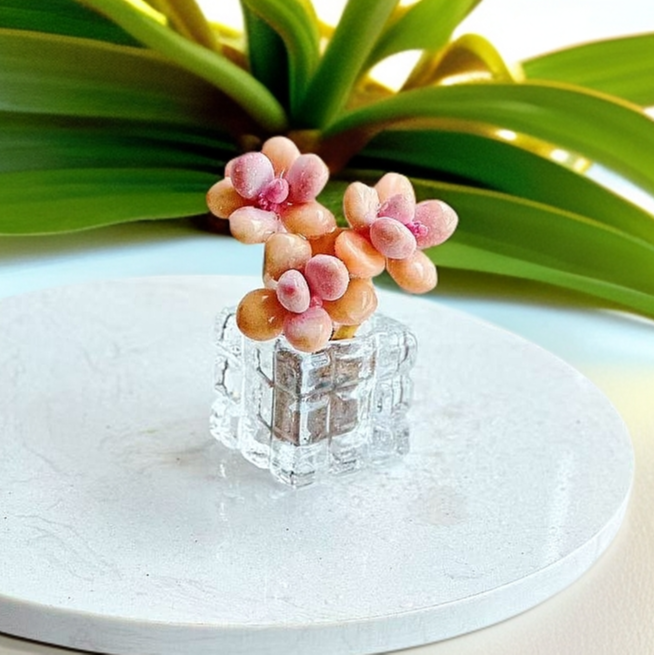 无土水光桃蛋1颗(含白水晶花器