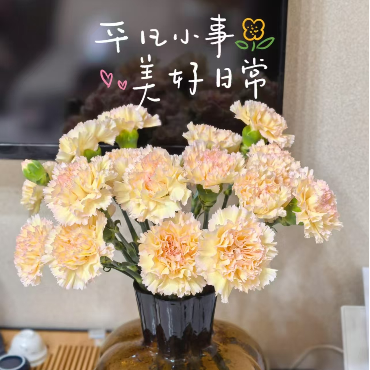 可可西里 单头康乃馨 任意2单发顺丰/德邦送货上门 云南鲜花