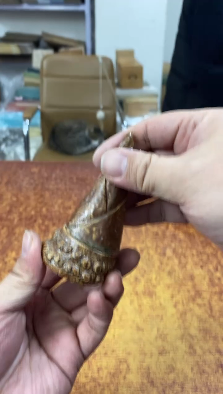 瓷片561小林轩欢迎您