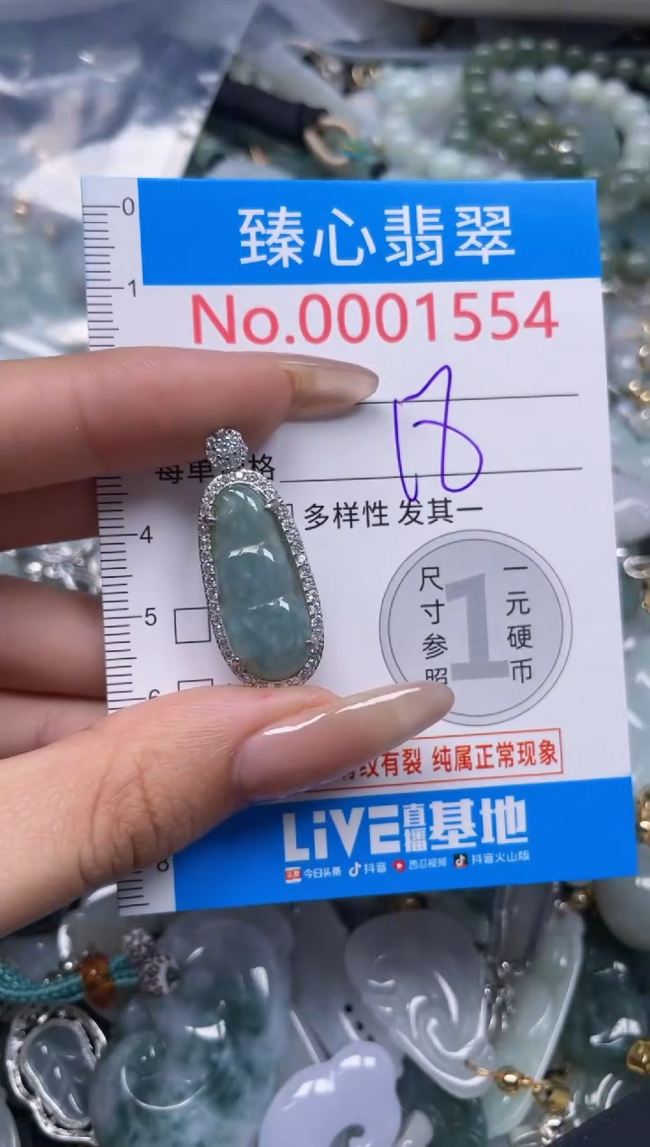 颈饰未镶嵌翡翠1554