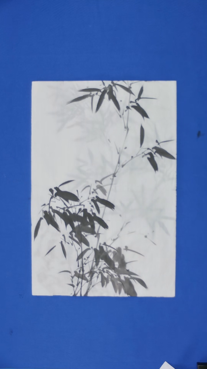 【闪购商品】国画国画刘啸老师国画竹子四尺三裁