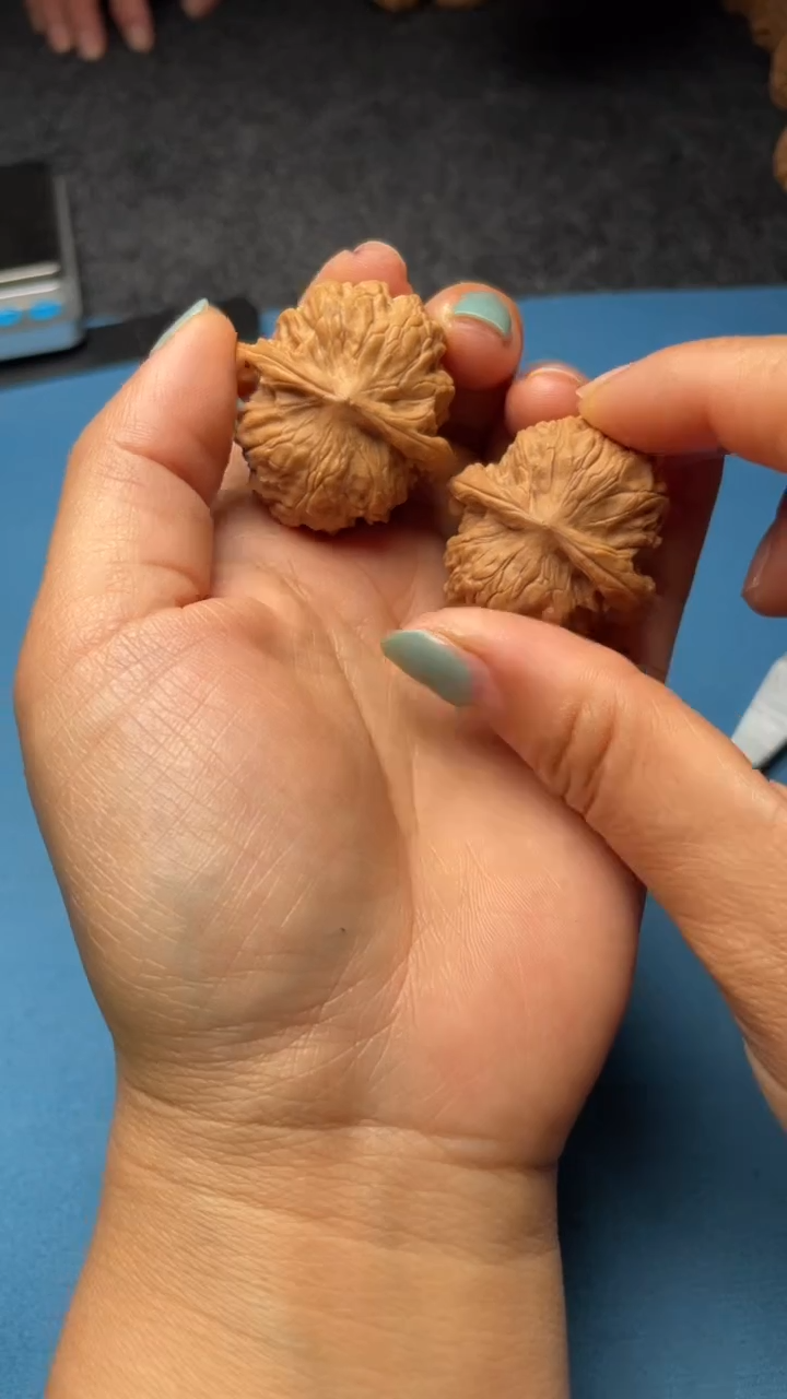 文玩核桃把件w136野狼35尺