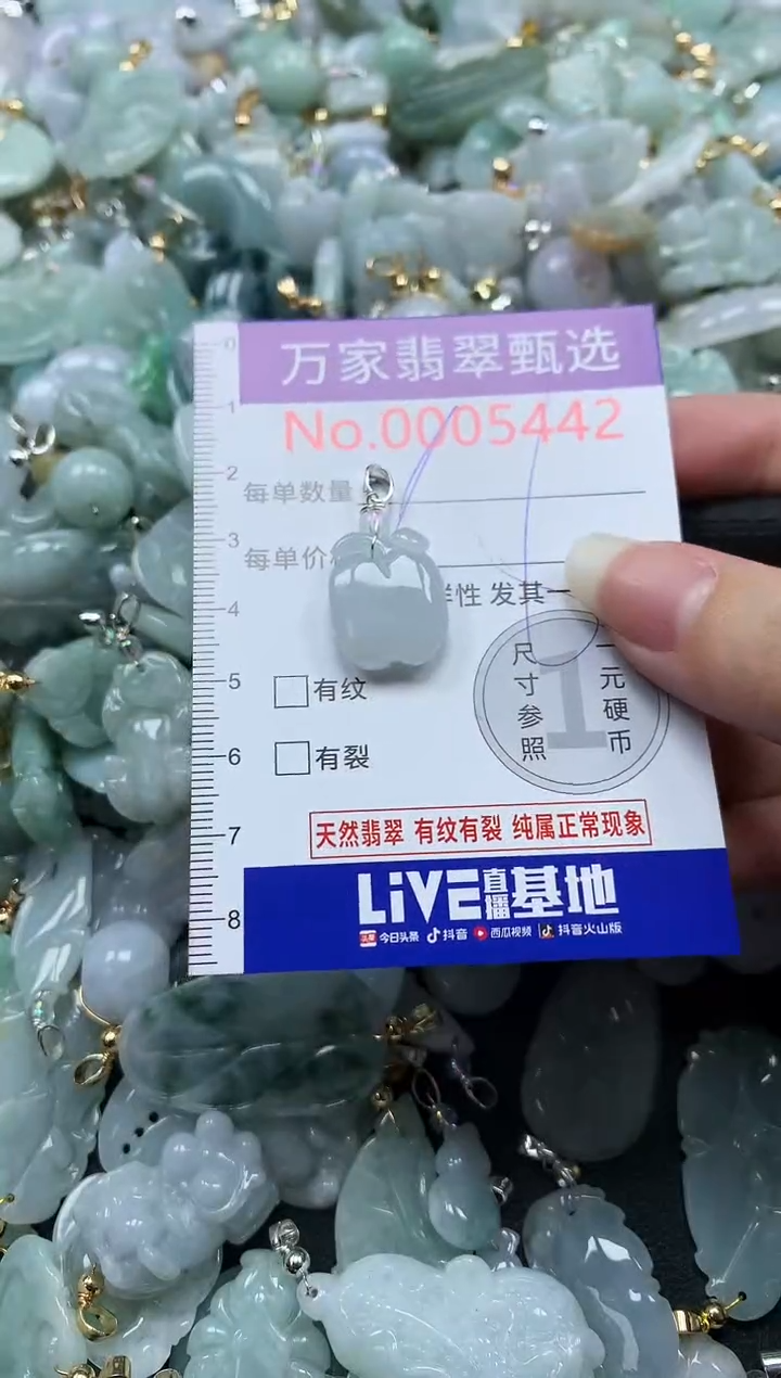 吊坠(不含链)未镶嵌翡翠5442