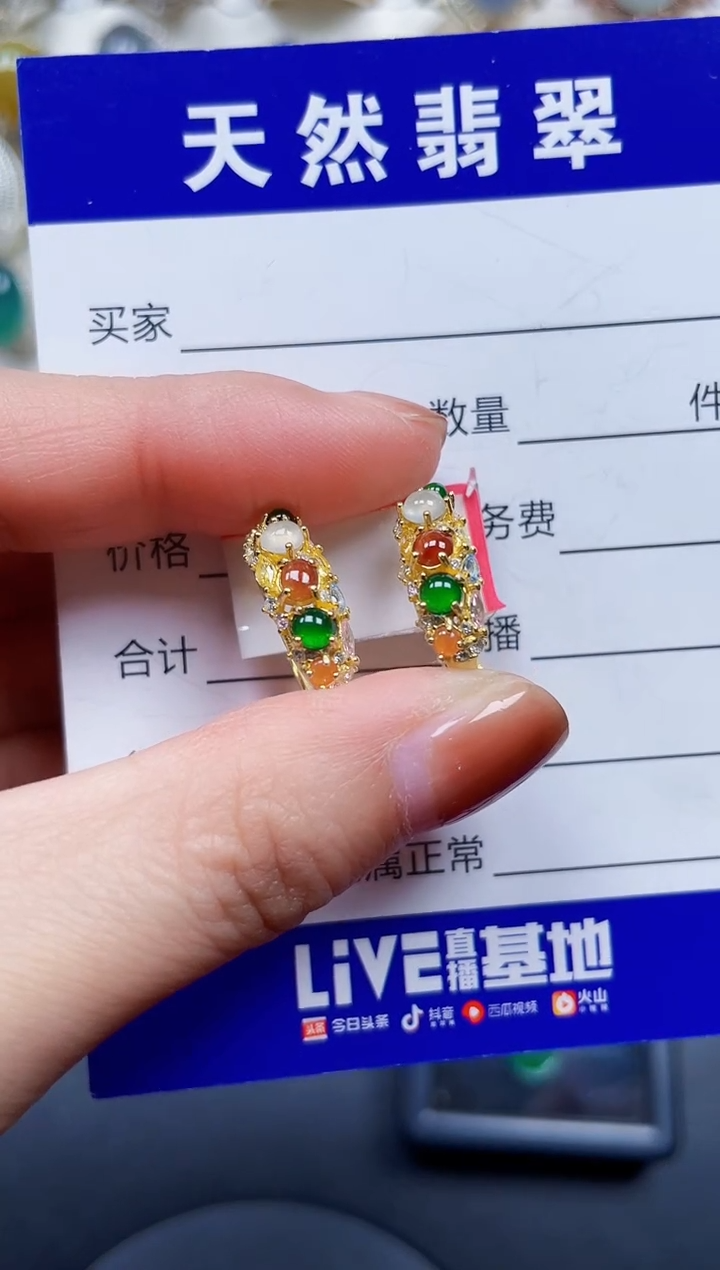 银S925镶嵌翡翠耳饰192