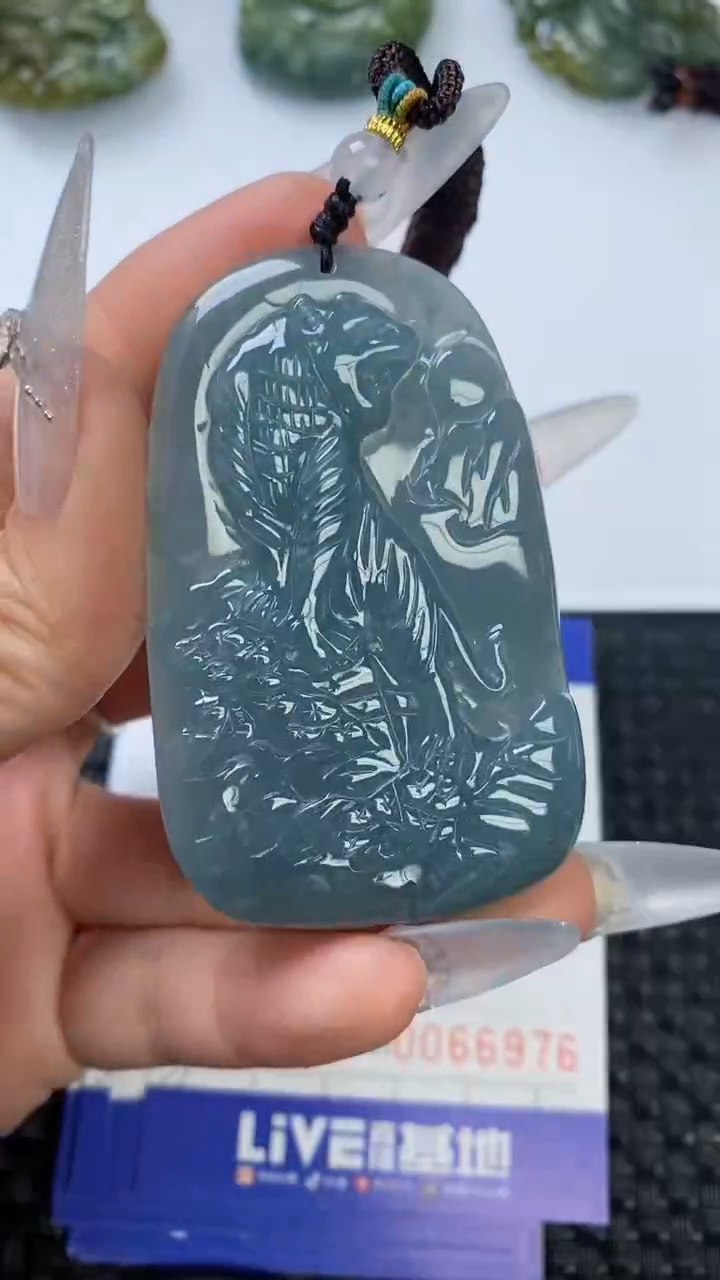 【闪购商品】翡翠颈饰未镶嵌11111111111111111