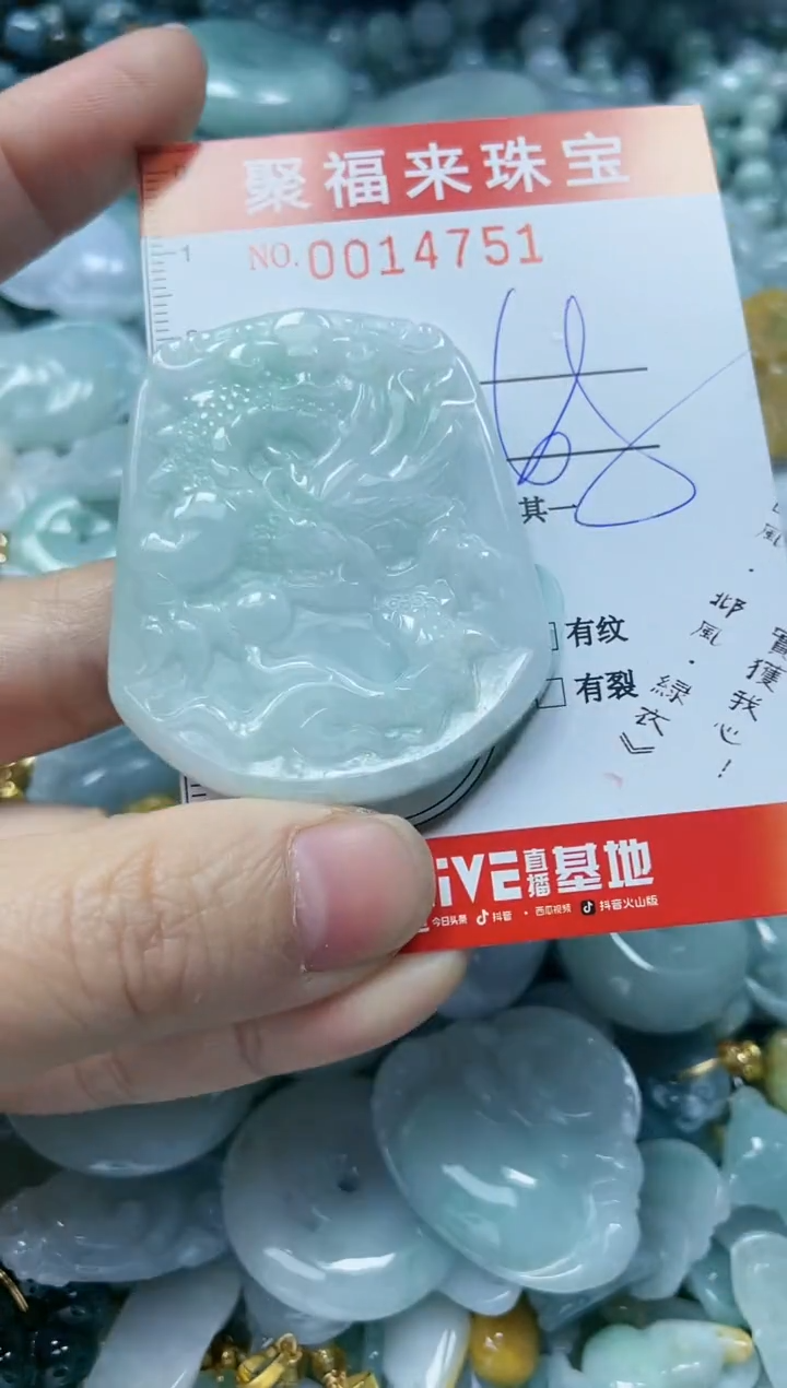 【闪购商品】翡翠颈饰未镶嵌闪购0014751