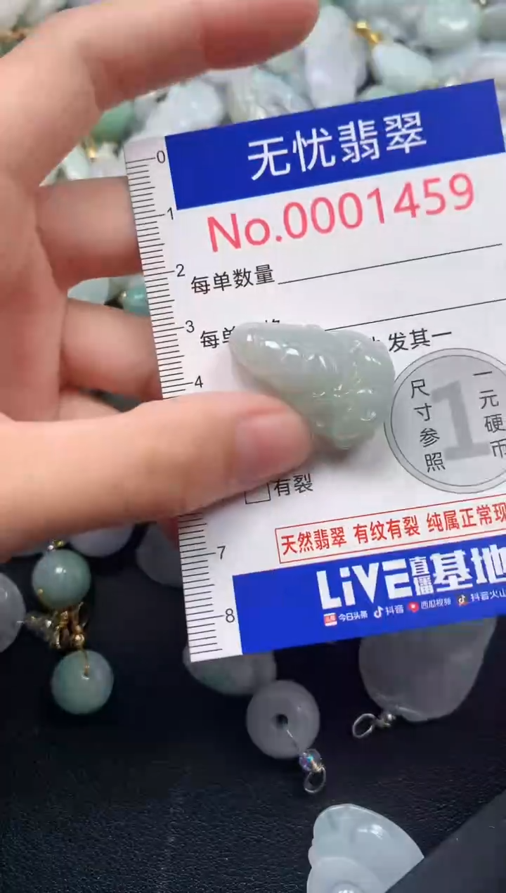 颈饰未镶嵌翡翠1459