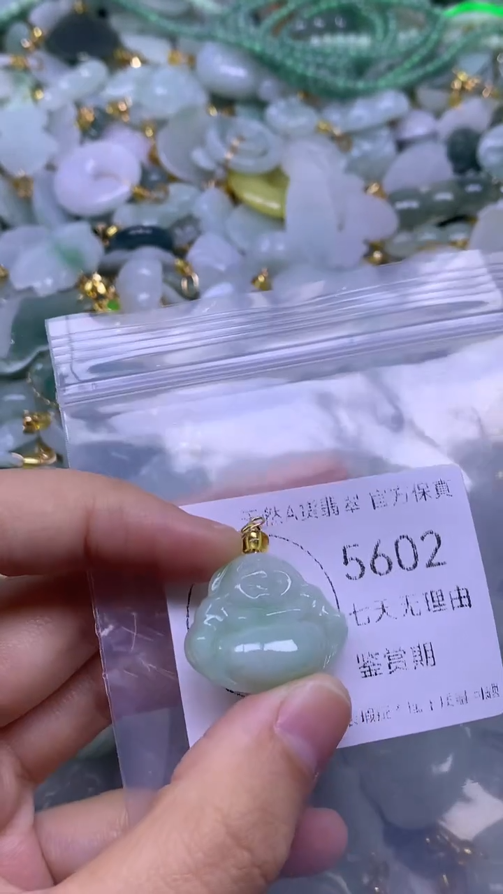 颈饰未镶嵌翡翠1