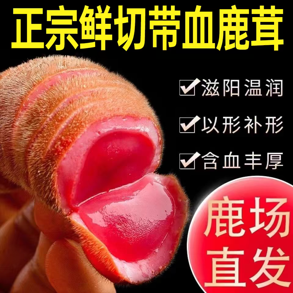 (顺丰包邮）鲜鹿茸正品吉林长白山鹿茸新鲜带血切片煲汤泡酒