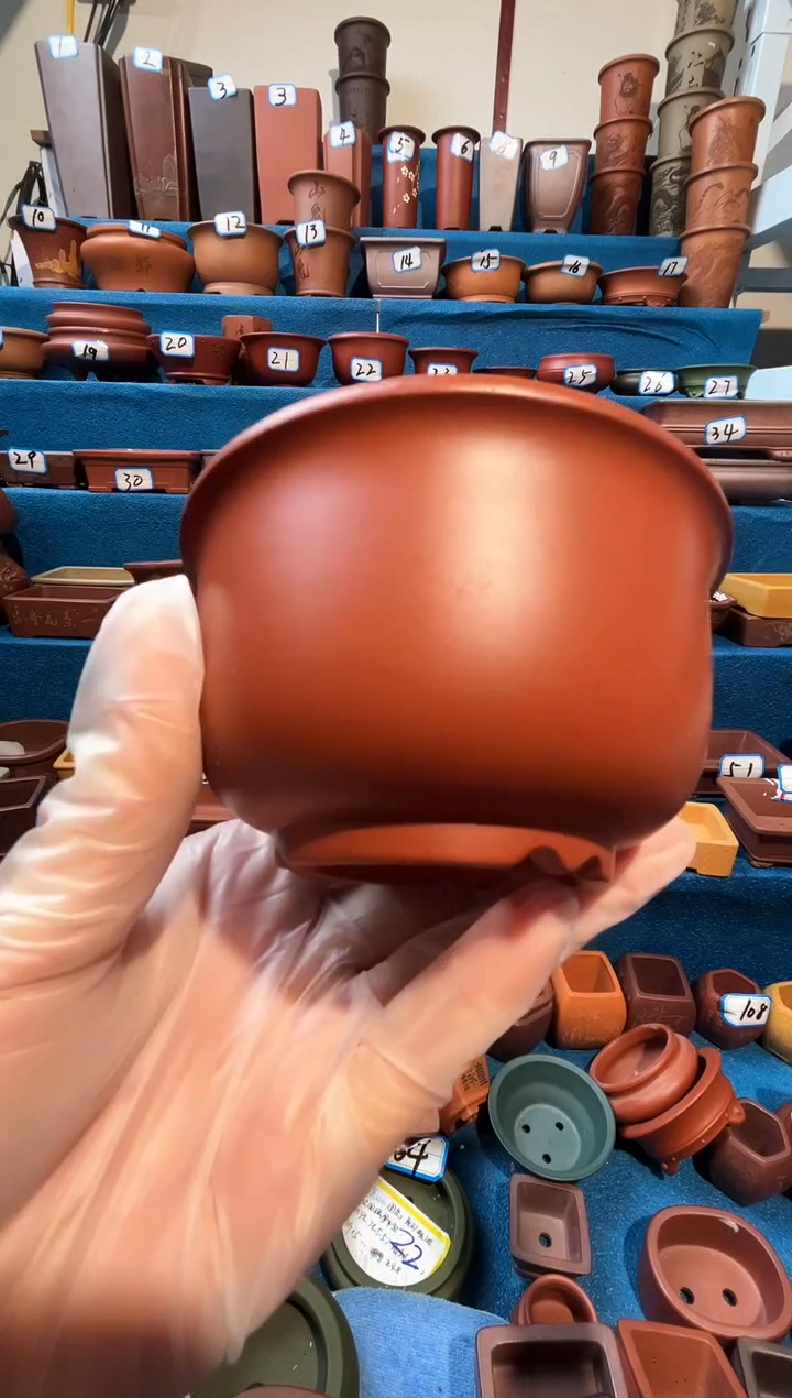 【闪购商品】紫砂紫砂花盆8*5