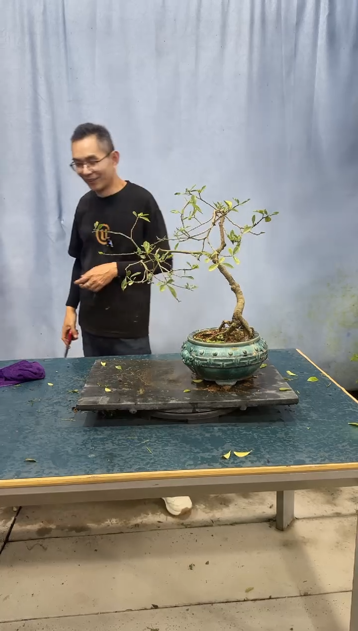 栀子花栀子花栀子花栀子花栀子花