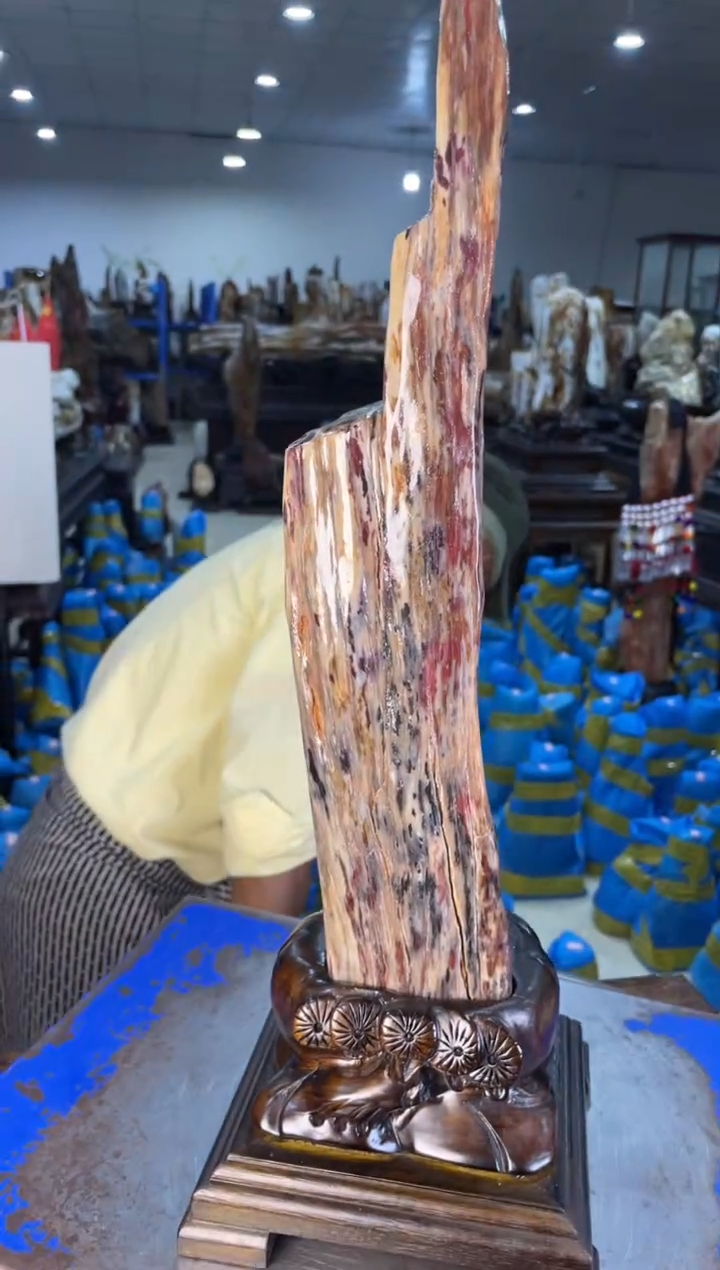 未镶嵌摆件硅化玉65