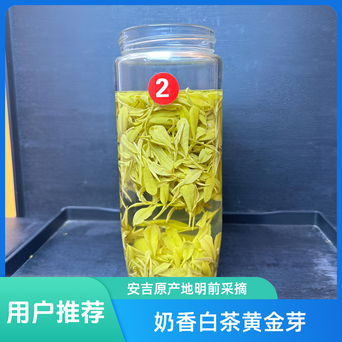 2025高山奶香白茶黄金芽 L1  安吉原产地明前奶香白茶奶香馥郁