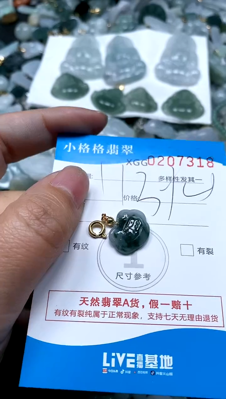 【闪购商品】翡翠颈饰未镶嵌闪购商品0207318