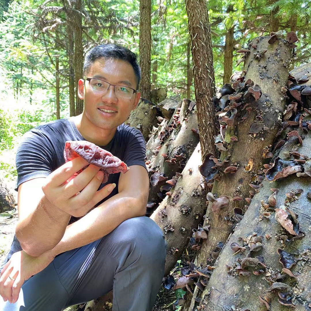 【稻悠悠】福建武平 本地椴木木耳干货
