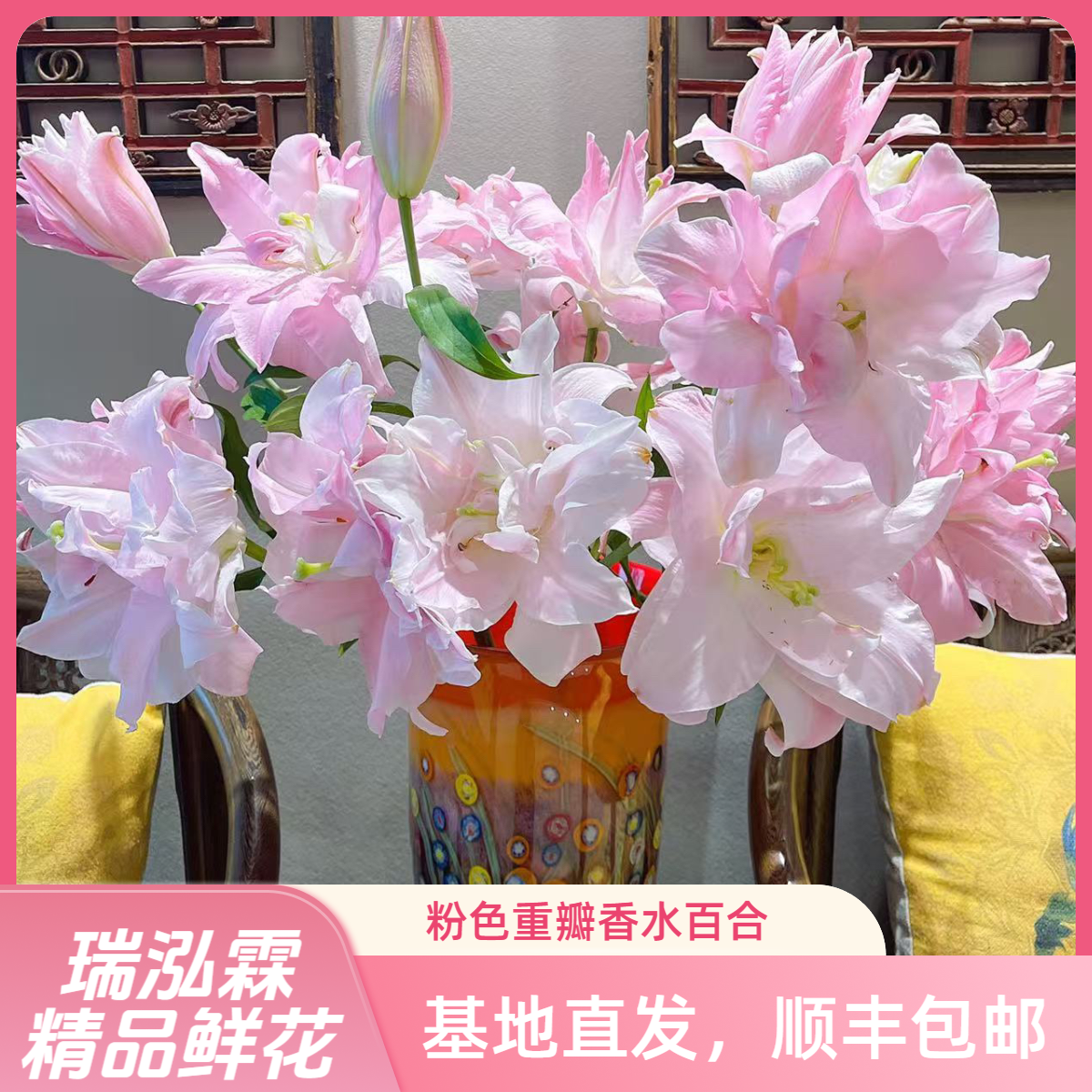 AAA（双钻）粉色重瓣百合 东北基地直发顺丰包邮水生鲜切花