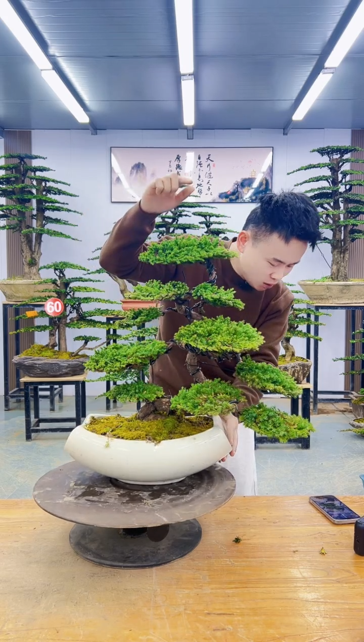 无花朵0000000000000000000000